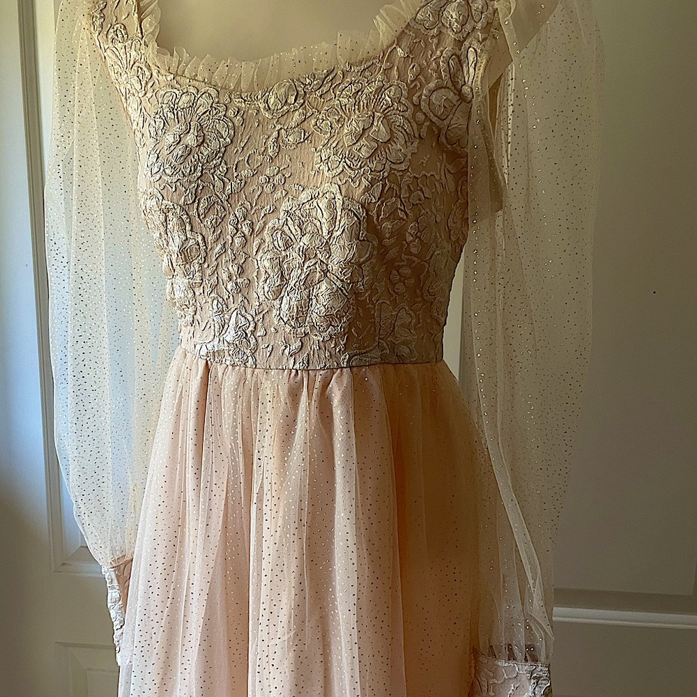 Beautiful Princess style blush color gown with sheer sleeves - Picture 6 of 14